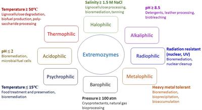 Industrial Biotechnology Based on Enzymes From Extreme Environments